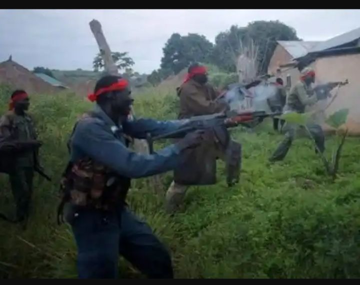 Berom Youth Group Demands Justice as Gunmen Kill 7 in Plateau State Attack 