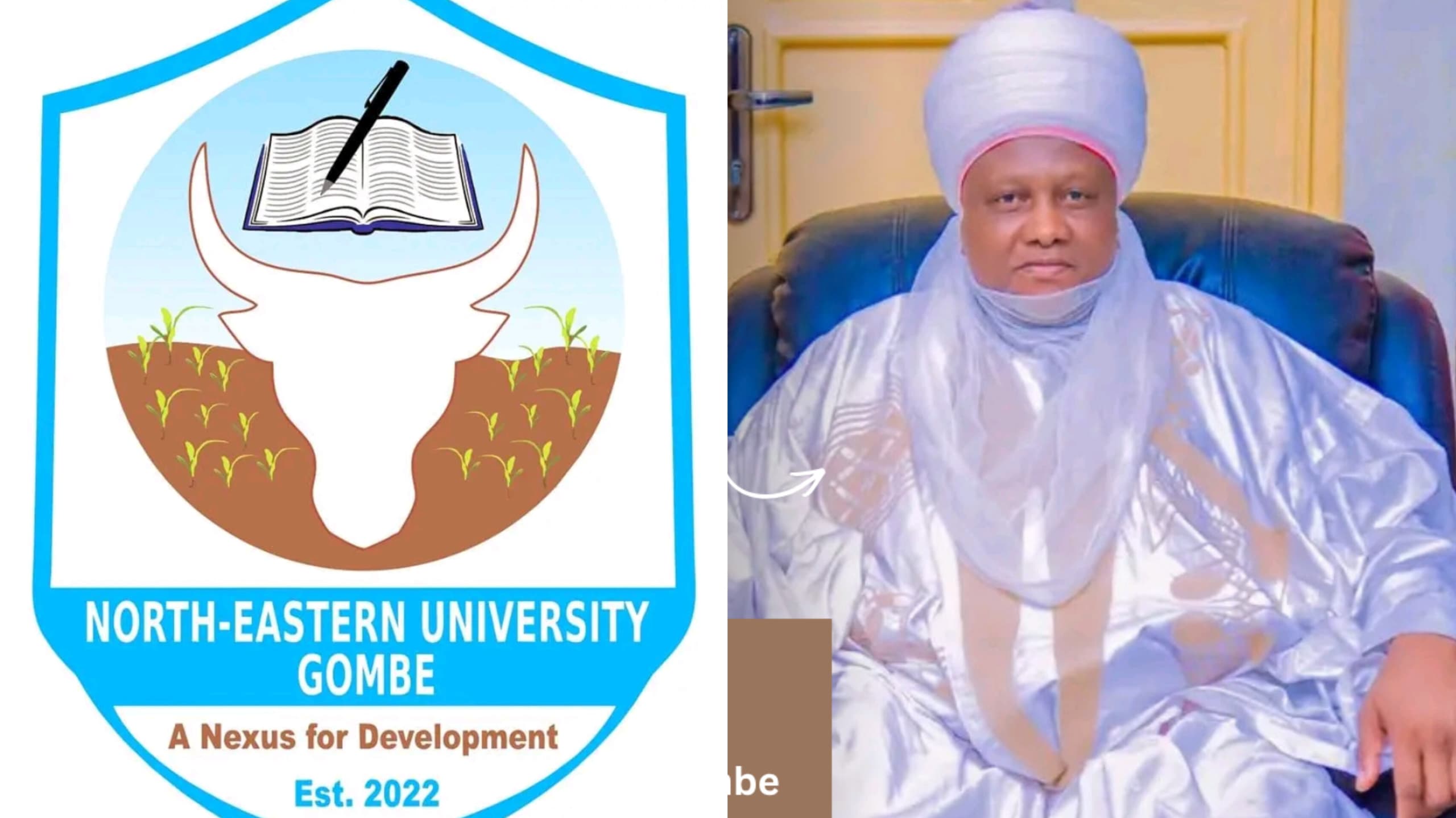 NEU Gombe Introduces 50% Scholarship For Petroleum Chemistry, 5 Other Degrees