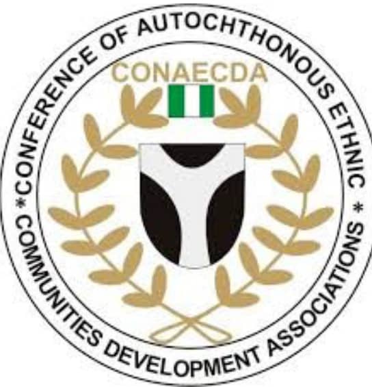 CONAECDA Youth Marks International Youth Day, Calls for Greater Inclusion of Indigenous Youth