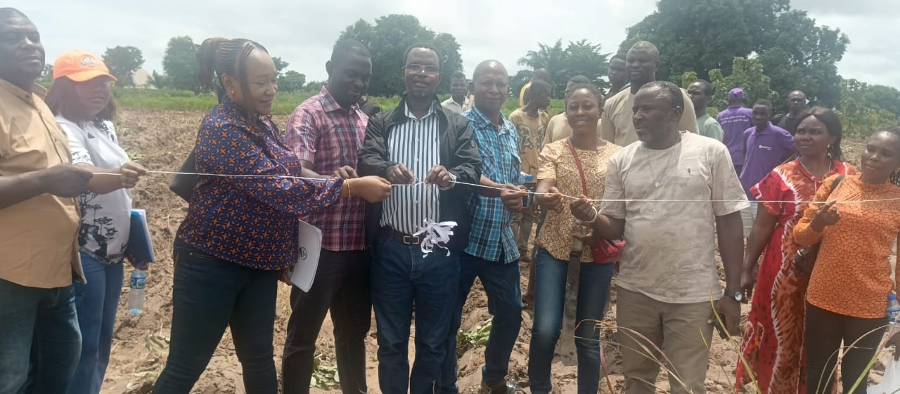 International Trade Centre moves to boost Benue cowpea, sesame exports